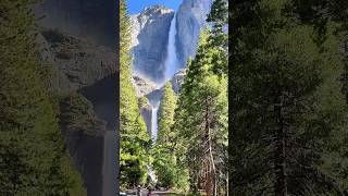 Hiking Half Dome Adventure in Yosemite National Park [upl. by Manson236]