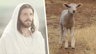 Jesus Christ the Passover Lamb [upl. by Kunz88]