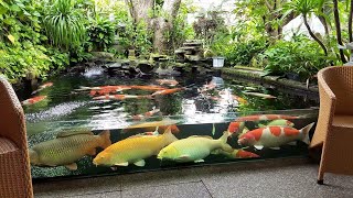 Garden Designs  TOP 3 MOST BEAUTIFUL BACKYARD FISH PONDS IN THE WORLD [upl. by Maillij]