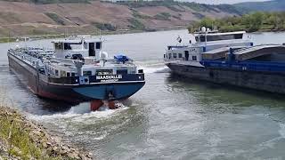 Rhein Bopparder Hamm Motorschiff aufgelaufen [upl. by Storer729]