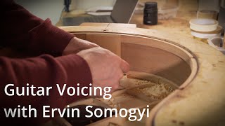 Guitar Voicing with Ervin Somogyi [upl. by Bulley47]