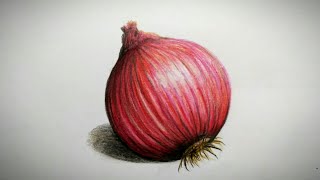 How to draw an Onion  pencil coloring  Step by step easy drawing [upl. by Atimed1]