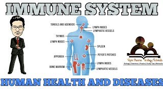 Our immune system  human health and disease NCERT for NEET and AIIMS [upl. by Fronnia]