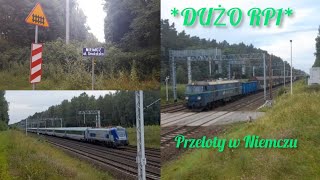 6 pociągów w 30 minut dużo RP1 i ciekawe składy czyli przeloty w Niemczu 26072024 [upl. by Jacey]