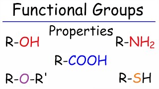 Properties of Functional Groups  Organic Chemistry [upl. by Annat646]