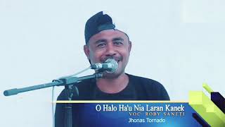 Roby cover O nia hahalok hau nia laran morasCitp Jonas [upl. by Ahsiyt]