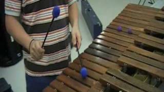 Through the Fire and Flames Marimba SCHS Band [upl. by Chambers63]