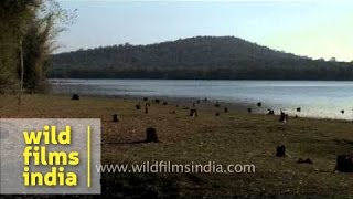 Kabini River of Bandipur National Park Karnataka [upl. by Jago]