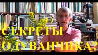 Какая Секретная Миссия Жука007 и Его Паразита в Цветах Одуванчика КтоКто в Одуванчике Живет [upl. by Jesher]