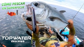 Pescando Jureles señuelos  topwater vense lures [upl. by Eednim892]