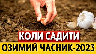 КРАЩІ ДНІ за місячним календарем ВОСЕНИ 2023 РОКУ Коли садити озимий ЧАСНИК у жовтні листопаді [upl. by Diantha]