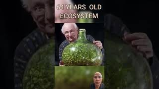 The oldest terrarium and the oldest selfsustaining ecosystem experiment esrevitcaf natural [upl. by Sanburn]