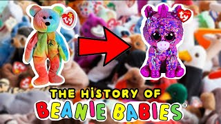 The History of TY Beanie babies to beanie boos 1993  2019  the evolution of TY [upl. by Akceber550]