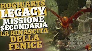 La Rinascita Della Fenice MISSIONE SECONDARIA HOGWARTS LEGACY [upl. by Heffron]