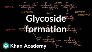 Carbohydrate  Glycoside formation hydrolysis  Chemical processes  MCAT  Khan Academy [upl. by Ahsimot600]