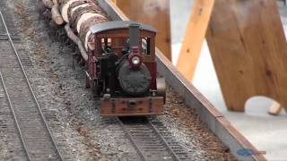 Live Steam Model Train 4 [upl. by Rothberg]