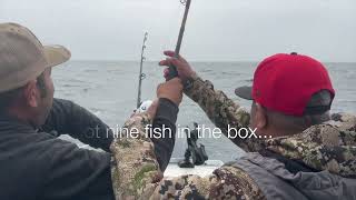 Albacore Tuna Fishing Newport Oregon [upl. by Atram]