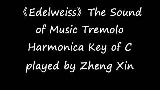 《Edelweiss》The Sound of Music Tremolo Harmonica Key of C [upl. by Nnylear781]