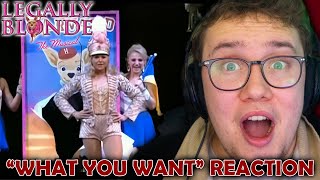 Its 2024 and LEGALLY BLONDE is ABSOLUTELY WONDERFUL quotWhat You Wantquot REACTION [upl. by Dragon349]