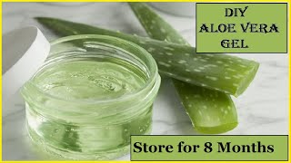 DIY Homemade ALOE VERA GEL  100 Pure  How To Make Aloe Vera Gel And Store It For Months [upl. by Trahurn945]