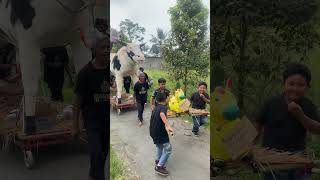 Karnaval ogoh ogoh mini 🤣 pargoy dj karnaval ogohogoh sorotan viralvideo viralshorts fyp [upl. by Ybor]