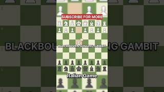 BLACKBOURN SHILLING GAMBIT  ITALIAN GAME shorts viralvideo trending subscribe shortsvideo yt [upl. by Annahsad581]