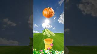 We collected fresh fruits and vegetables shorts islamicvideo [upl. by Aehtela93]