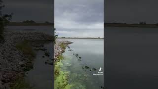 Conestoga Lake In Southeast Nebraska BoydOutdoors [upl. by Accebar48]