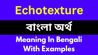 Echotexture meaning in bengaliEchotexture শব্দের বাংলা ভাষায় অর্থ অথবা মানে কি [upl. by Llenrag]