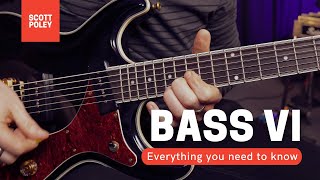 Bass VI  Everything You Need To Know [upl. by Aluor]