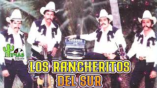 Los Rancheritos Del Sur  Grandes Exitos Norteños [upl. by Aicnatsnoc476]