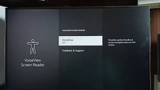 Amazon Fire TV Stick  How to Turn ON TalkBack [upl. by Nnailuj]