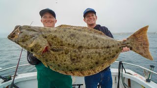 MASSIVE California Halibut Catch Clean Cook Channel Island Fishing California [upl. by Can413]