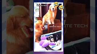 Funny 🤣 Moment with Dogs rrr music vikram song funny diwalimusic remotetech viralshorts dog [upl. by Eiramyllek]