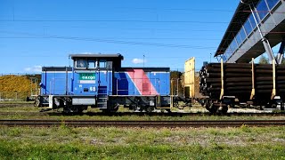 Tåg i Ludvika  Trains in Ludvika Sweden  September 2021 [upl. by Niveek]