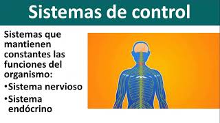 BIOLOGÍA 3  Seres Autótrofos y Heterótrofos Fotosíntesis [upl. by Len]