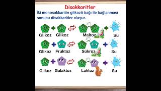 Ritmi Yükselten Bilgiler7 Disakkaritler [upl. by Bone]