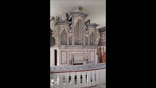 JS Bach 1685  1750 quotMachs mit mir Gott nach deiner Gütquot BWV 957  Walter Gatti organ [upl. by Dupaix535]