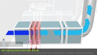 Petersime turnkey hatcheries air circulation in the hatchery [upl. by Eniamzaj450]