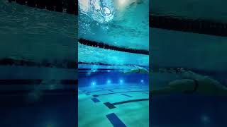 Backstroke Turn Slow Mo [upl. by Anivahs]