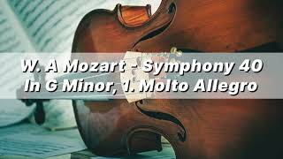 Mozarts Symphony No 40 in G Minor K 550 1 Molto allegro A Classical Masterpiece [upl. by Georgie]