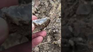 Yoinking a few little agates fun rockhounders tocks nature adventure hiking [upl. by Modestia519]