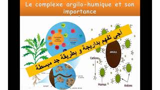 Le complexe argilohumique et son importance Les caractéristiques chimiques du sol شرح بالداريجة [upl. by Rhpotsirhc]