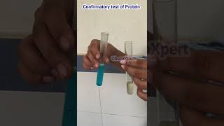 Confirmatory Test For ProteinBiuret Test  Class 12 Food Analysis [upl. by Highams]