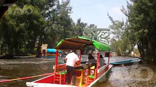 Terremoto en Xochimilco 19 de septiembre 2017 [upl. by Fedora]