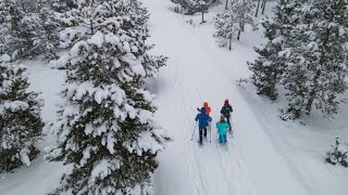 Les estacions de nòrdic de lAlt Urgell i Cerdanya tindran itineraris ecoturístics [upl. by Pagas704]