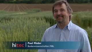 DOKVersuch Biologische und konventionelle Landwirtschaft im Langzeitvergleich [upl. by Heber]