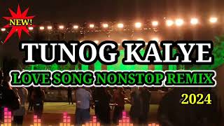 Tunog Kalye Love Song Nonstop Remix 2024 [upl. by Craddock]