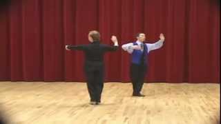 Bronze Viennesse Waltz  Basic amp Reverse Turn Ballroom Dance Lesson [upl. by Ayahsal]