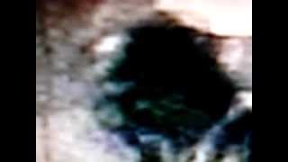 NOME ALASKA MURDERS  REPTILIAN ANOMALIES [upl. by Schober]